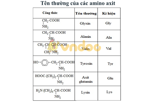 Amino axit là gì? - Đầy đủ kiến thức từ A-Z để ôn thi THPT QG 2020