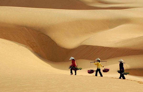 Bài ca đi trên cát