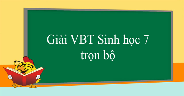 Giải Vbt Sinh Học 7 Trọn Bộ - Giải Vở Bài Tập Sinh Học Lớp 7 - Vndoc.Com