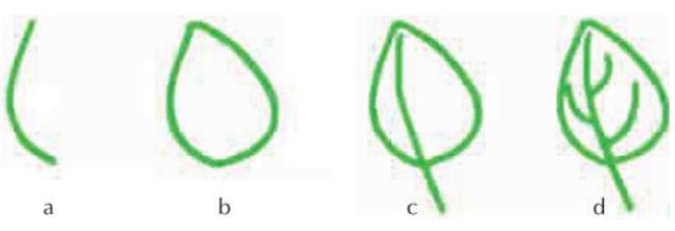 Bài thực hành 2 trang 72 SGK Tin học 3