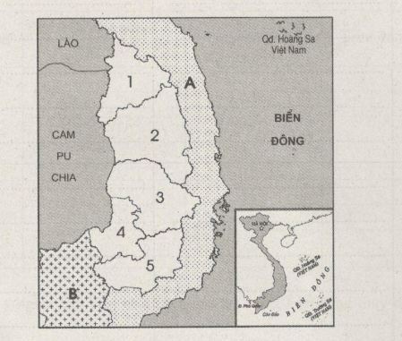 Giải bài tập SBT Địa lý 12 bài 37: Vấn đề khai thác thế mạnh ở Tây Nguyên