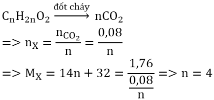 Bài toán về phản ứng đốt cháy Este