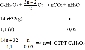 Tìm công thức phân tử của Este dựa vào phản ứng đốt cháy