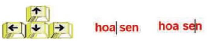 Bài thực hành 3 trang 77 SGK Tin học 3