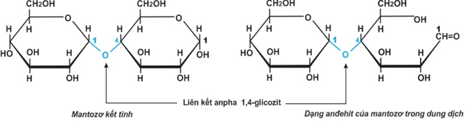 Lý thuyết Saccarozo: Tính chất hóa học, Tính chất vật lí, Cấu tạo, Điều chế, Ứng dụng