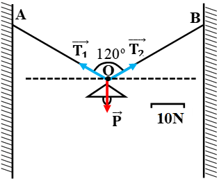 Giải bài tập VBT Vật lý lớp 8 bài 4: Biểu diễn lực