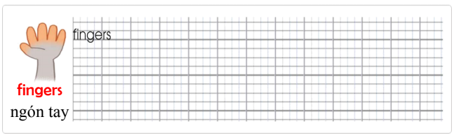 Tập viết Tiếng Anh lớp 2 Unit 3 This is my nose