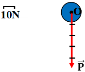 Giải bài tập VBT Vật lý lớp 8 bài 4: Biểu diễn lực