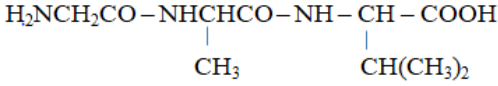 Lý thuyết Peptit và Protein: Tính chất hóa học, Tính chất vật lí, Đồng phân, Danh pháp