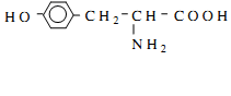 cach-goi-ten-amin-amino-axit-1.png