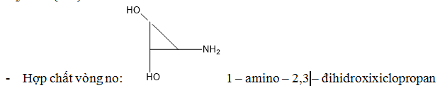 Cách viết đồng phân Amin, Amino Axit