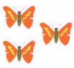 Giải bài tập Tin học lớp 4: Sao chép hình