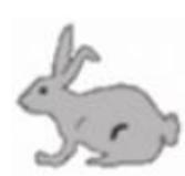 Giải bài tập Tin học lớp 4: Sao chép hình