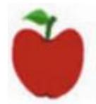 Giải bài tập Tin học lớp 4: Sao chép hình