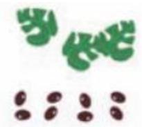 Giải bài tập Tin học lớp 4: Sao chép hình