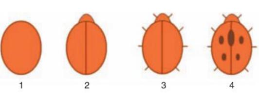 Giải bài tập Tin học lớp 4: Vẽ hình elip, hình tròn