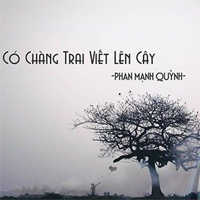 Lời bài hát Có chàng trai viết lên cây - Phan Mạnh Quỳnh