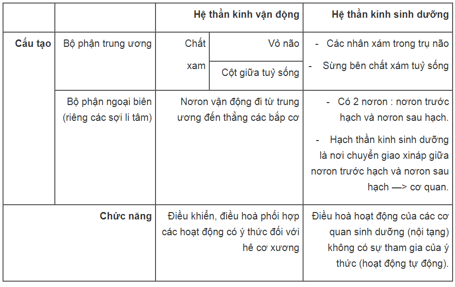 Giải Sách bài tập Sinh học lớp 8 trang 97, 98, 99, 100, 101, 102, 103