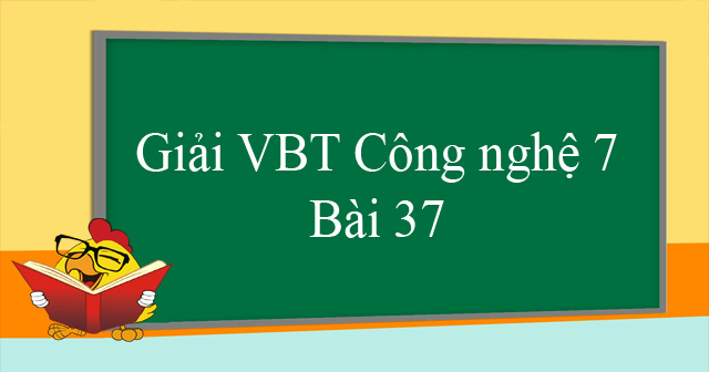 Giải Vở bài tập Công nghệ lớp 7 Bài 37 - Thức ăn vật nuôi