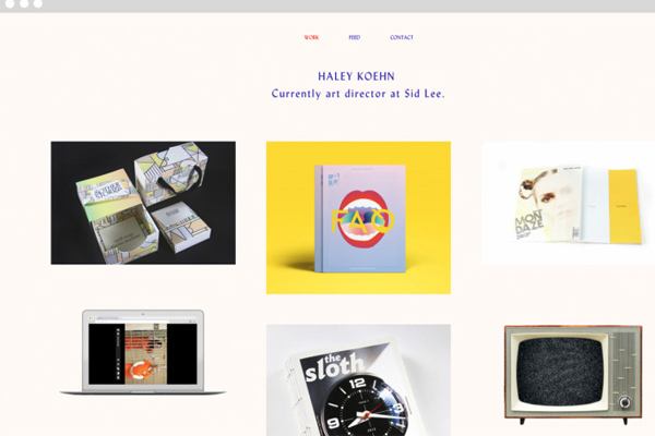 Mẫu portfolio đẹp Haley Koehn