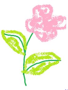 Giải bài tập Tin học lớp 5: Sử dụng bình phun màu