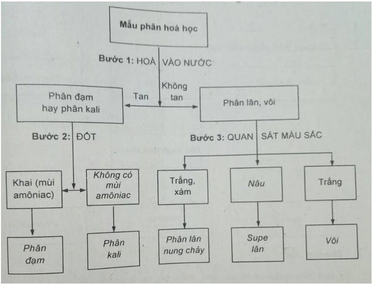Giải Sách bài tập Công nghệ lớp 7