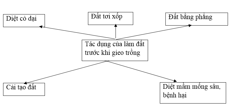 Giải SBT Công nghệ 7