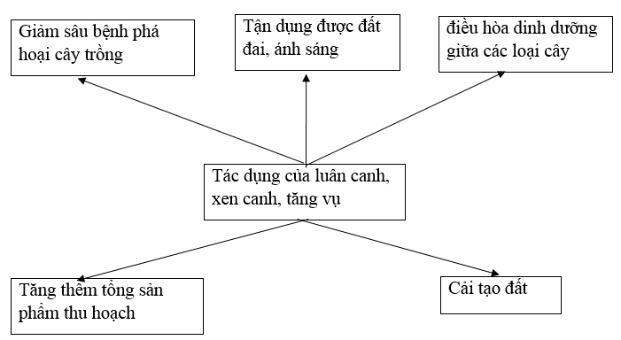 Giải SBT Công nghệ 7