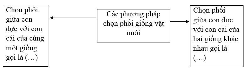 Giải Sách bài tập Công nghệ lớp 7