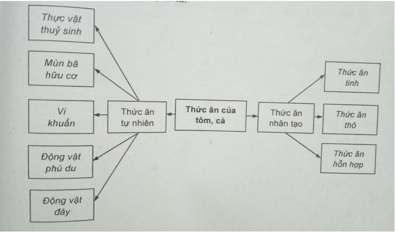 Giải Sách bài tập Công nghệ lớp 7