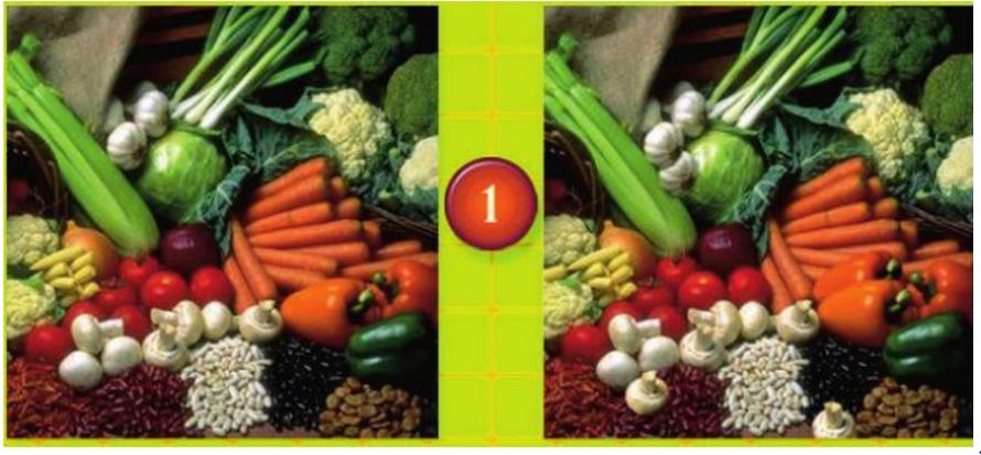 Giải bài tập tin học lớp 5