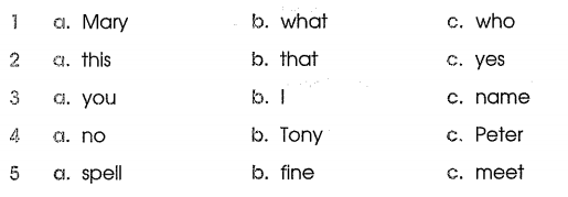 Phiếu bài tập cuối tuần môn Tiếng Anh lớp 3 Tuần 5