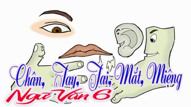 Trình bày nội dung và đặc sắc nghệ thuật trong truyện Chân Tay Tai Mắt Miệng