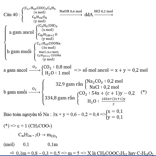 Ôn thi Đại học môn Hóa học có đáp án - Đề số 11