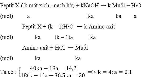 Ôn thi Đại học môn Hóa học có đáp án - Đề số 13