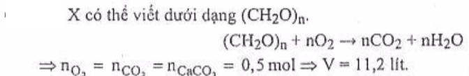 Ôn thi Đại học môn Hóa học có đáp án - Đề số 5