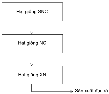 Giải SBT Công nghệ lớp 10 - Bài 3 + 4
