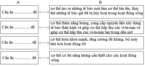 Các chất dinh dưỡng có vai trò gì