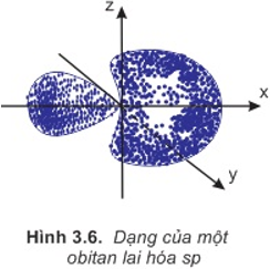 Sự Lai Hoa Cac Obitan Nguyen Tử Sự Hinh Thanh Lien Kết đơn Lien Kết đoi Va Lien Kết Ba Chuyen đề Mon Hoa Học Lớp 10 Vndoc Com