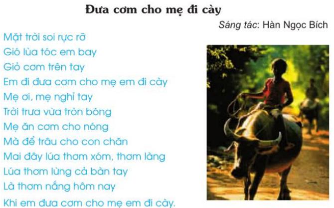 Giải bài tập Tin học lớp 5: Những gì em biết (trang 79)