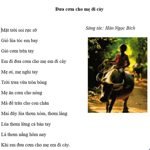 Giải bài tập Tin học lớp 5: Những gì em biết (trang 79)