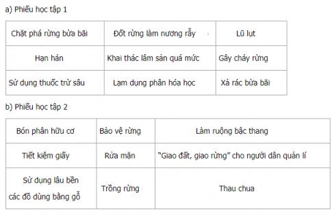 Giải Địa lí lớp 5 VNEN bài Đất và rừng