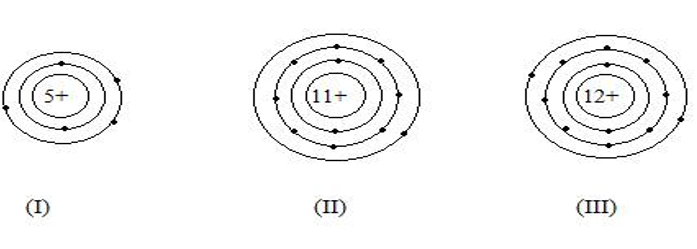 chuyên đề hóa học 8