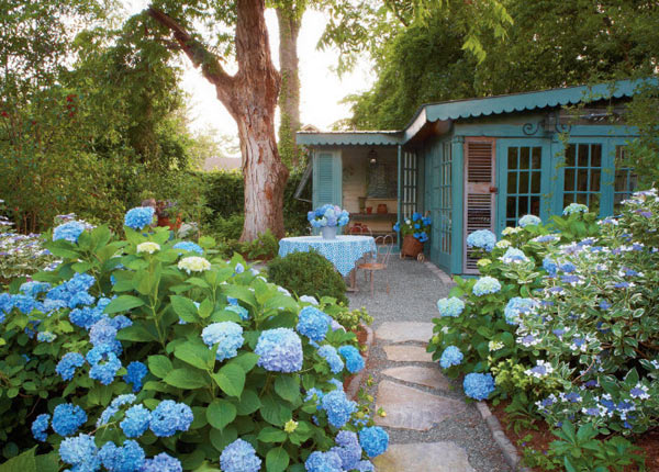 Tả cảnh buổi sáng trong vườn cây