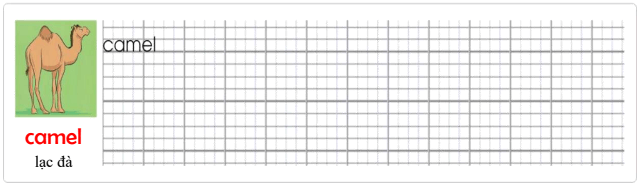 Tập viết Tiếng Anh lớp 4 Unit 5: A naughty monkey!