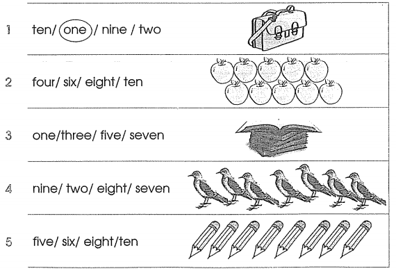 Phiếu bài tập cuối tuần môn Tiếng Anh lớp 3 Tuần 6