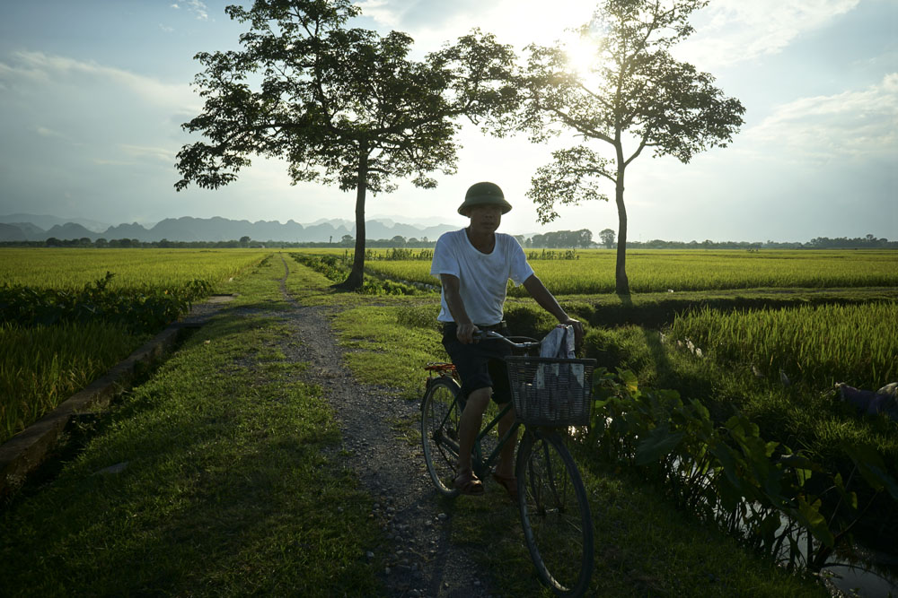 Vietnam mature.avi