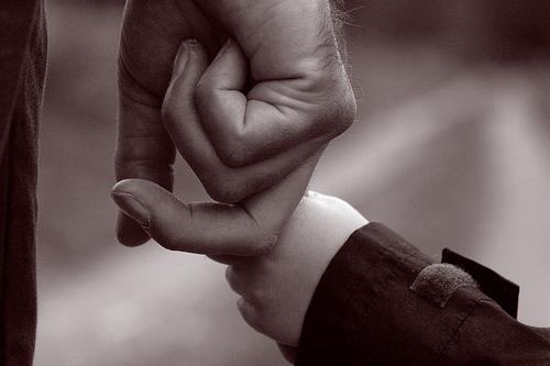 Người ấy sống mãi trong lòng tôi về bố