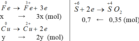 chuyên đề hóa học 10