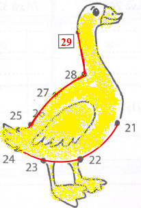 Giải Cùng em học Toán lớp 2 Tuần 1 - Tiết 2